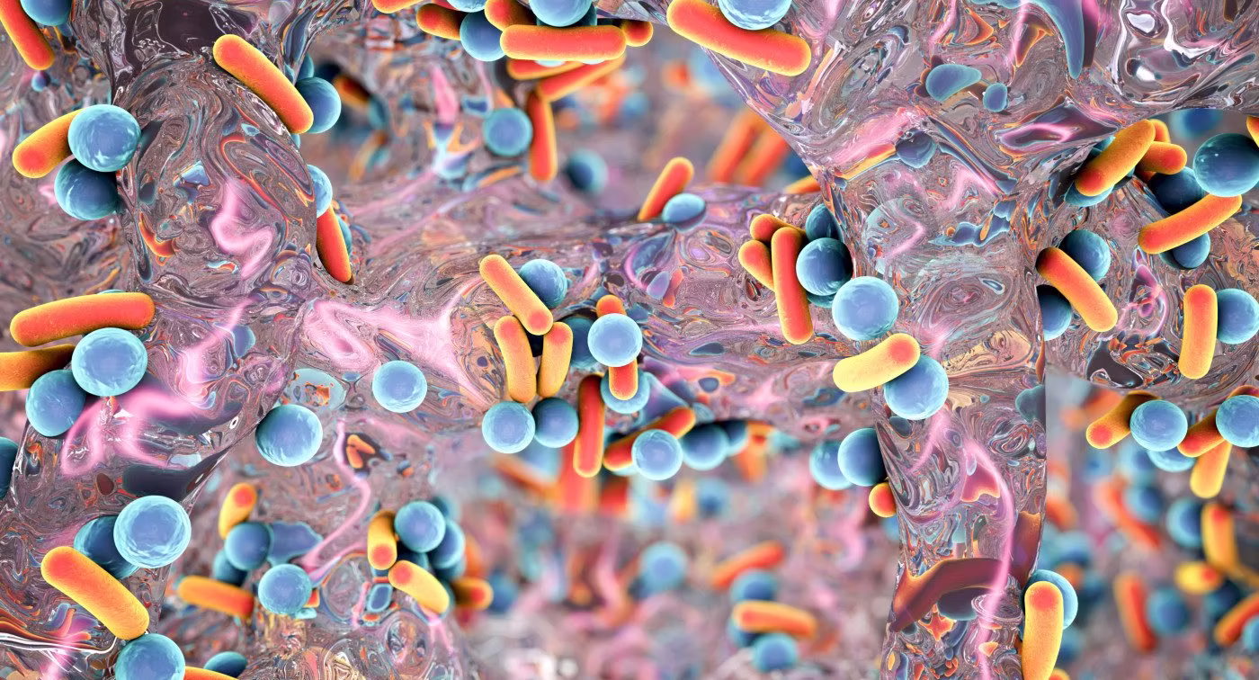 Illustration of bacteria in the gut microbiome